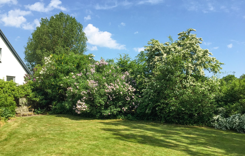 Semesterhus - Vitaby/Simrishamn , Sverige - S11974 15
