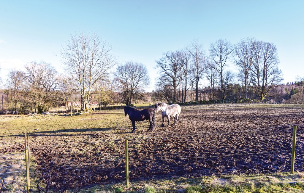 Ferienwohnung - Tjörnarp/Höör , Schweden - S11571 23