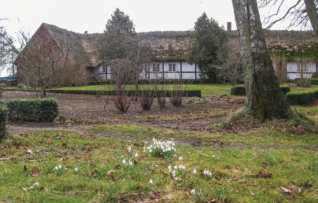 Ferienhaus - Sjöbo/Blentarp , Schweden - S11156 4