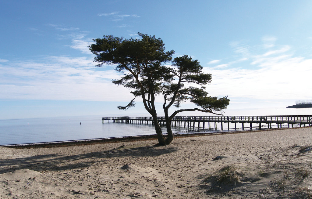 Ferienhaus - Yngsjö , Schweden - S11037 25