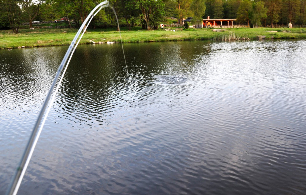 Feriehuse - Hörby/Linderödsåsen , Sverige - S11143 13