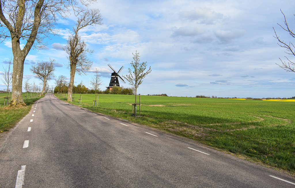 Ferienhaus - Ystad/Sövestad , Schweden - S11652 16