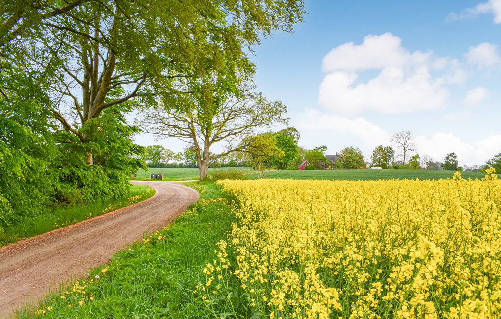 Feriehus - Höör/Ringsjön , Sverige - S11878 14
