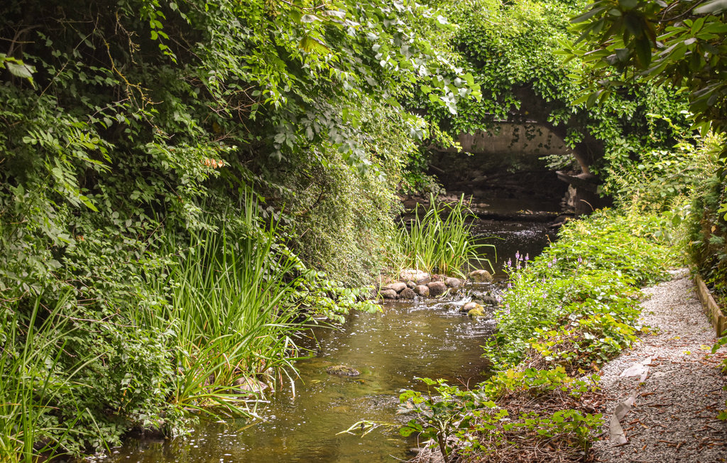 Ferienhaus - Ystad/Svarte/Abbekås , Schweden - S11890 10