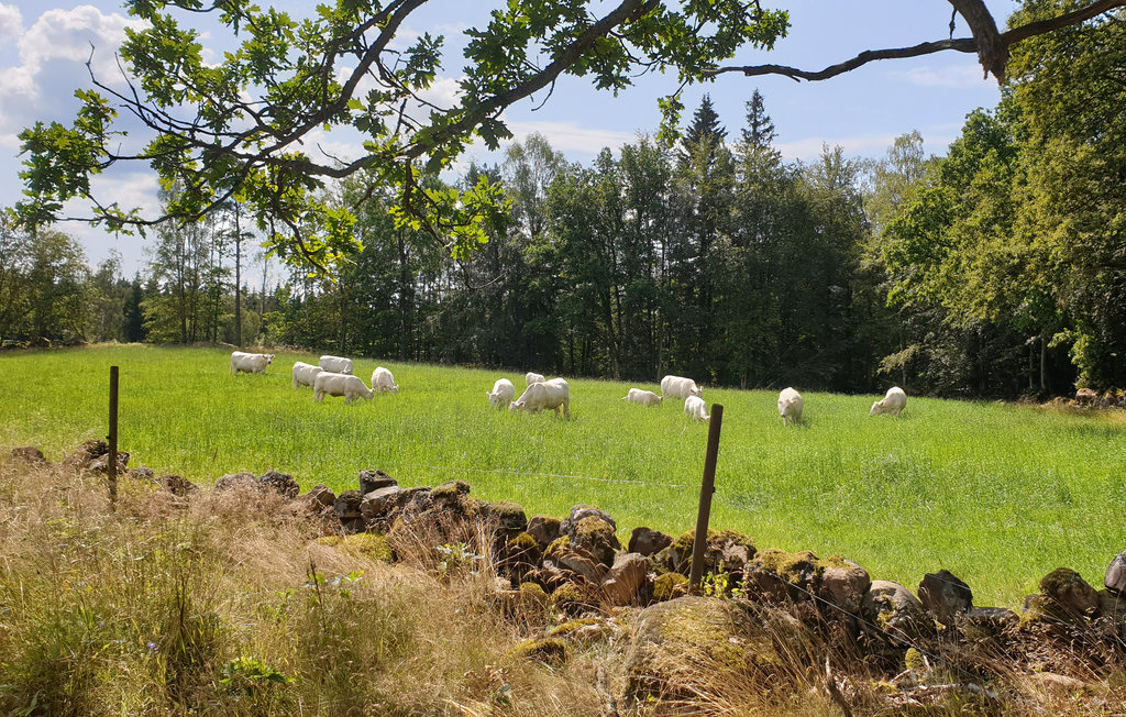 Feriehuse - Häljalt/Perstorp , Sverige - S11827 28