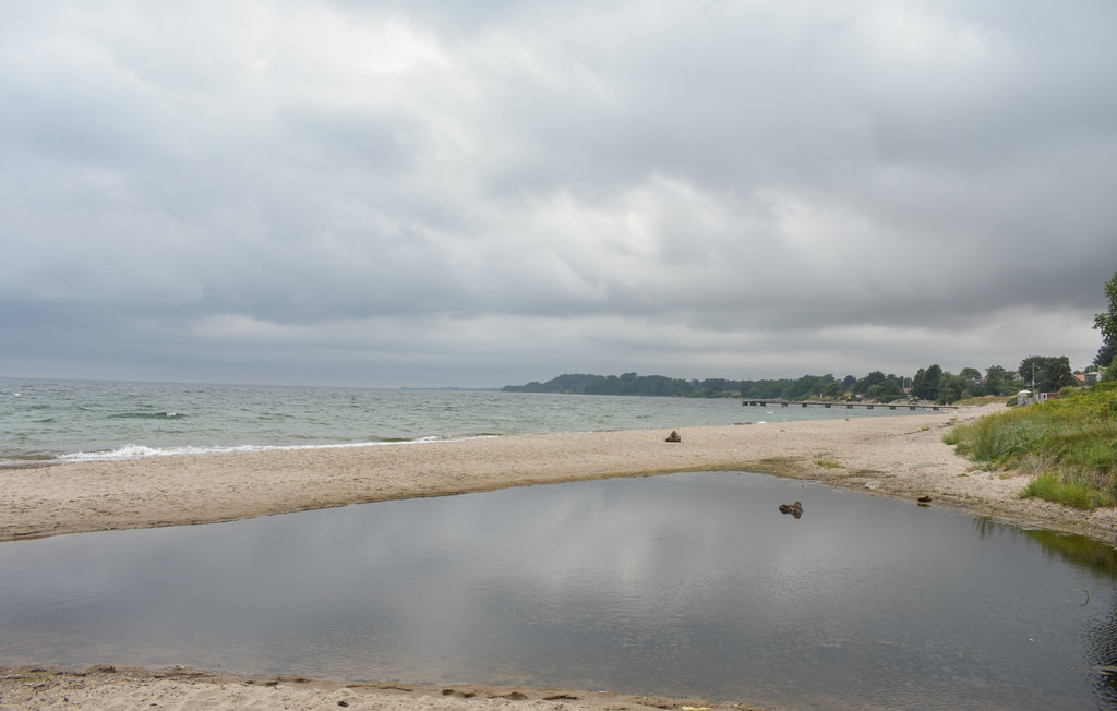Ferienhaus - Ystad/Svarte/Abbekås , Schweden - S11890 21