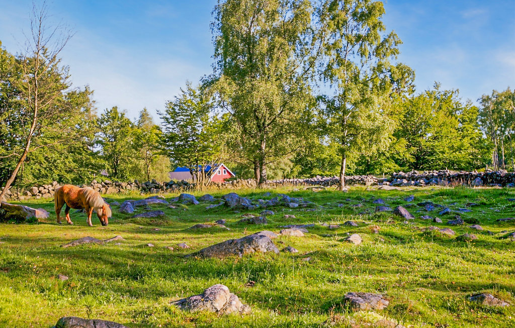 Ferienhaus - Vildmarksboende/Hörby , Schweden - S11932 6