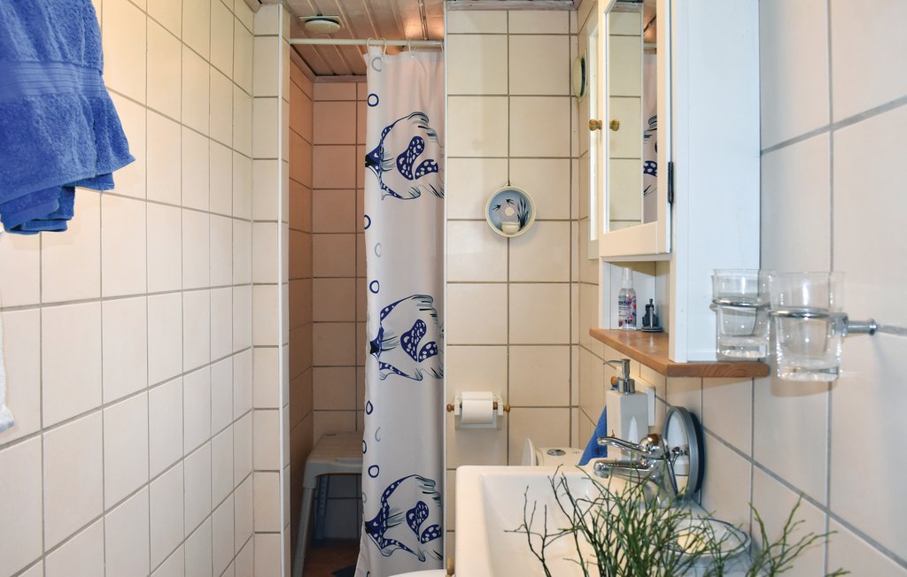 Ferienhaus - Beddingestrand/Bingsmarken , Schweden - S11258 21