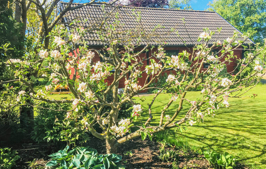 Ferienwohnung - Beddingestrand , Schweden - S11822 12