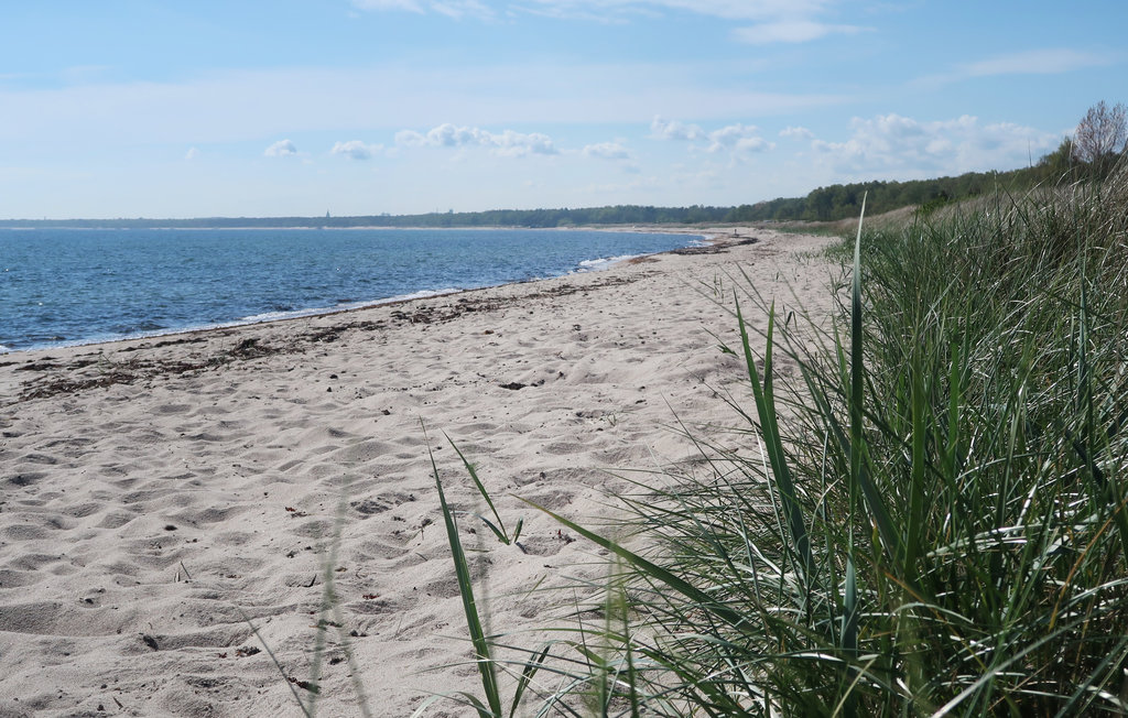 Ferienwohnung - Nybrostrand/Ystad , Schweden - S11730 18