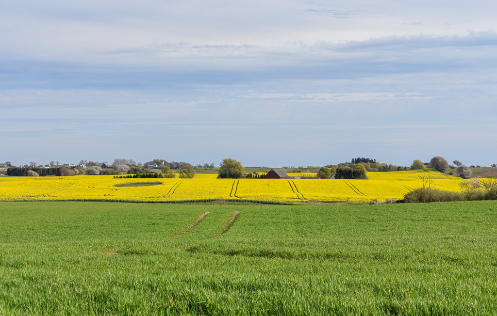 Ferienhaus - Ystad/Sövestad , Schweden - S11652 17