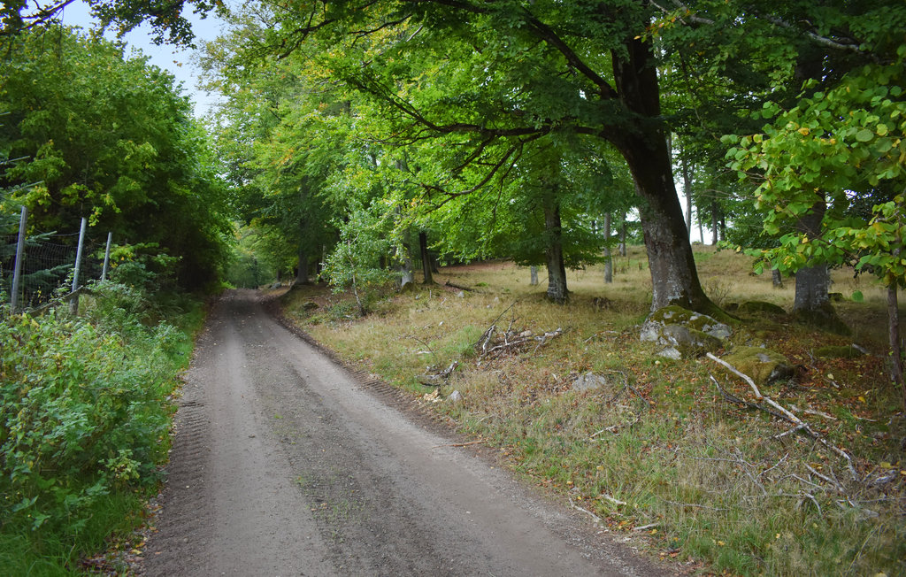 Semesterhus - Kristianstad/Östra Sönnarslöv , Sverige - S11717 21