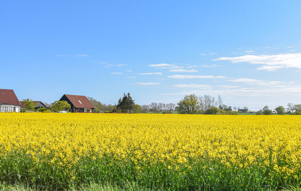 Ferienhaus - Simrishamn/Skillinge , Schweden - S11735 15