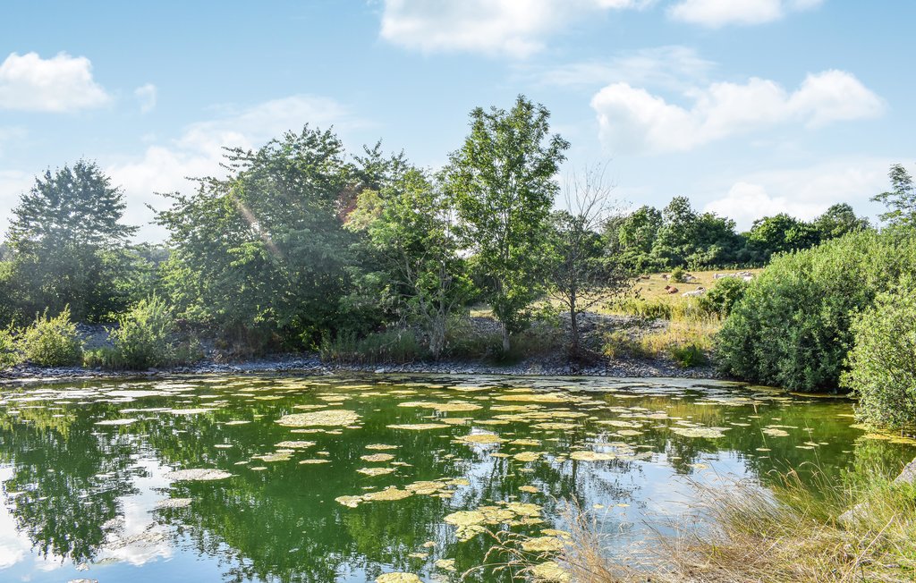 Feriehuse - Simrishamn/Tomelilla , Sverige - S11887 6
