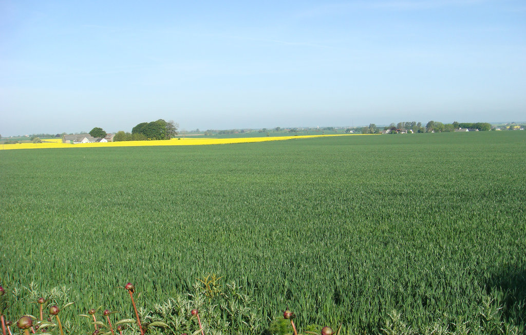 Ferienhaus - Simrishamn/Gislöv , Schweden - S11981 13