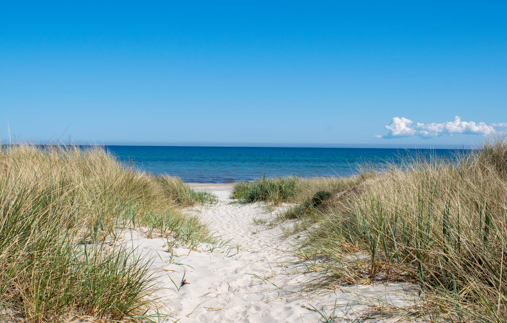Ferienhaus - Sandhammaren , Schweden - S11656 8
