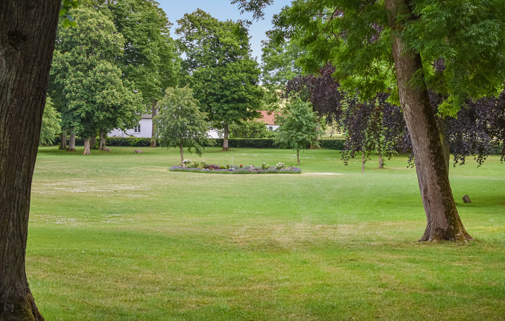Ferienhaus - Tomelilla , Schweden - S11659 8