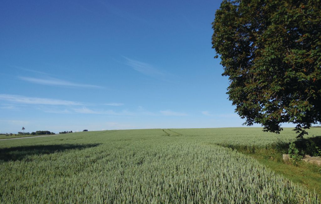 Ferienhaus - Simris , Schweden - S11002 7