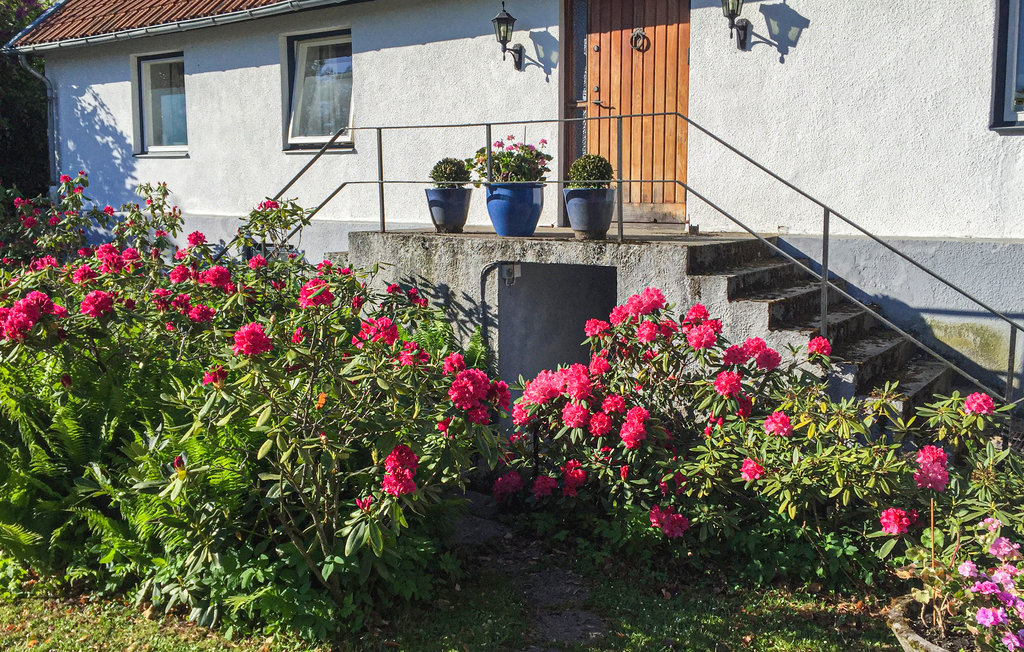 Semesterhus - Vitaby/Simrishamn , Sverige - S11974 7