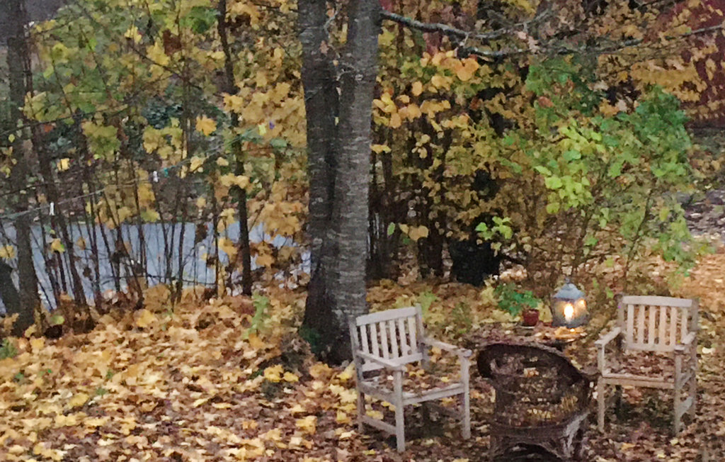 Ferienwohnung - Immeln/Östra Göinge , Schweden - S11067 10