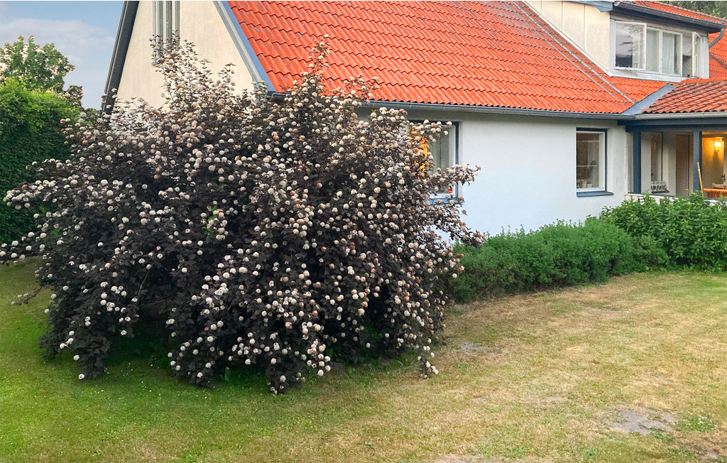 Semesterhus - Vitaby/Simrishamn , Sverige - S11974 14