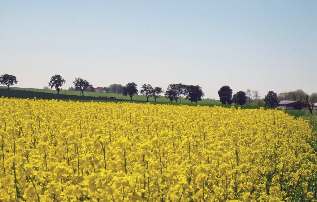 Feriehuse - Tomelilla , Sverige - S11072 13