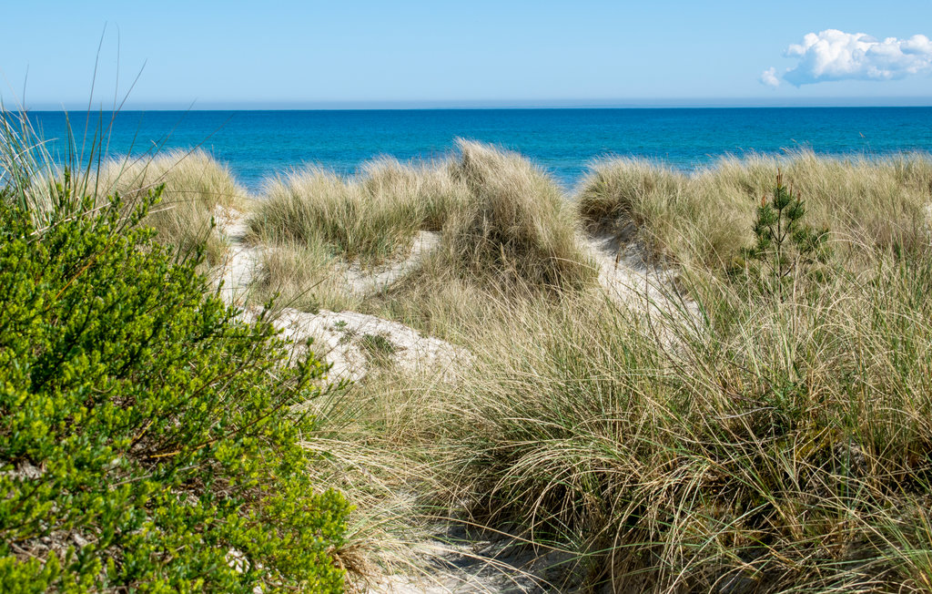 Ferienhaus - Sandhammaren , Schweden - S11656 16