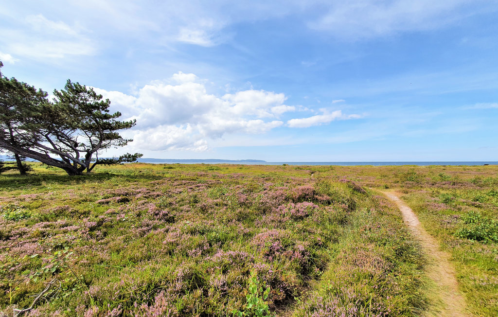 Semesterhus - Skummeslövsstrand , Sverige - S11917 16