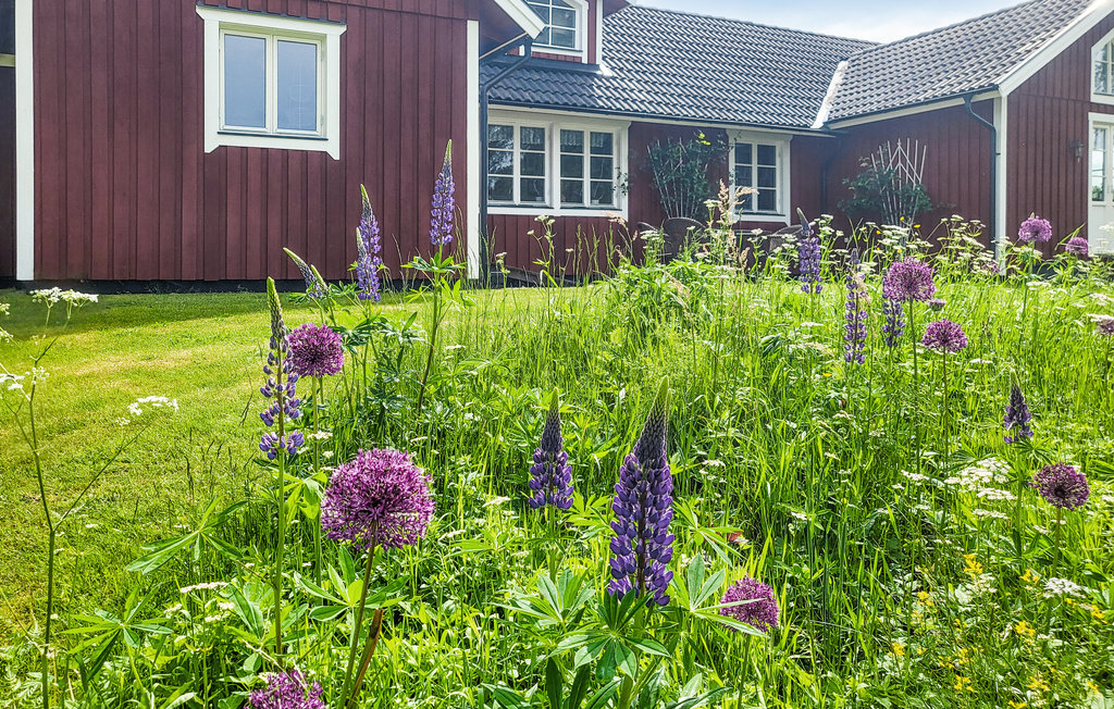Feriehus - Vittsjö/Vingård , Sverige - S11940 11