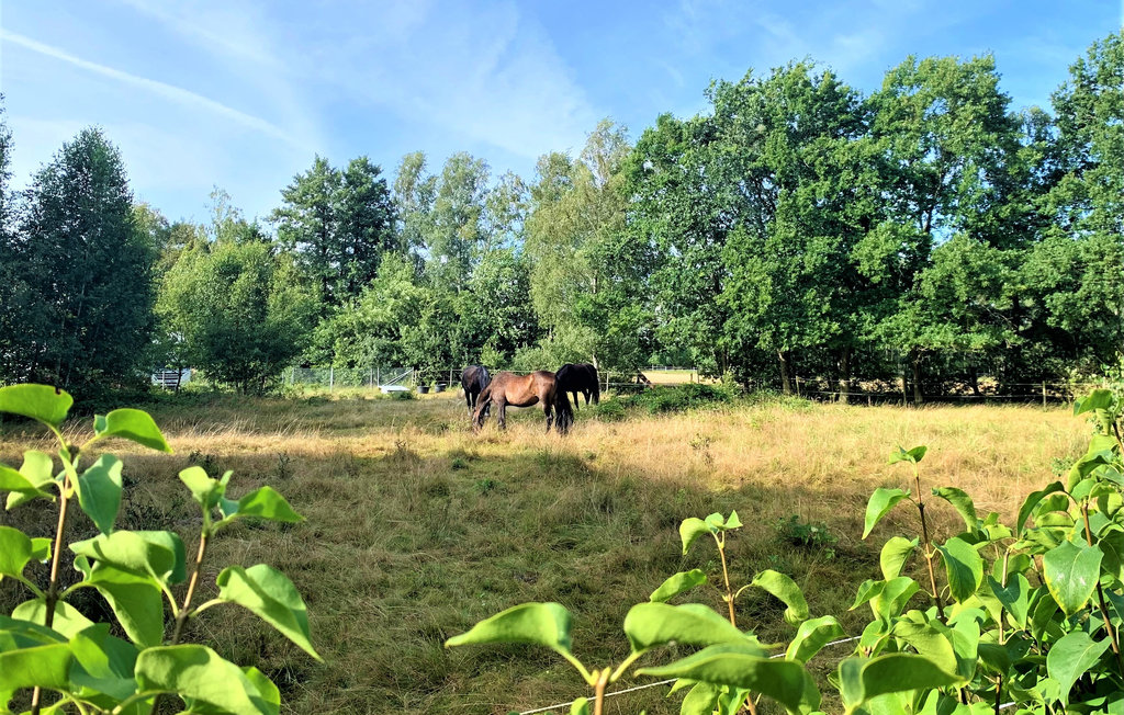 Feriehuse - Ängelholm , Sverige - S11763 8