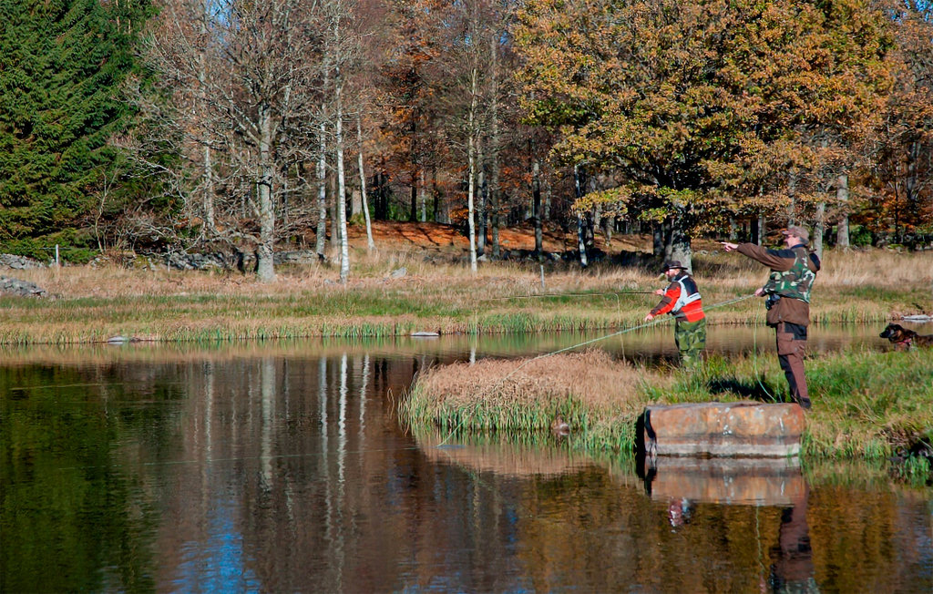 Feriehuse - Hörby/Linderödsåsen , Sverige - S11143 14
