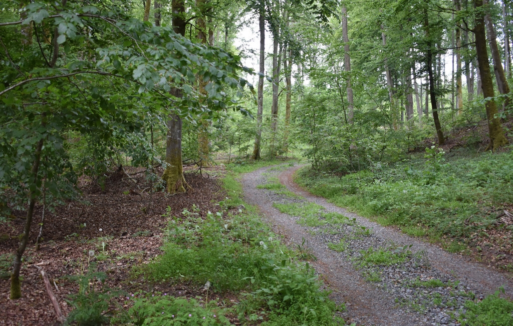 Semesterhus - Hässleholm/Vinslöv , Sverige - S11579 5