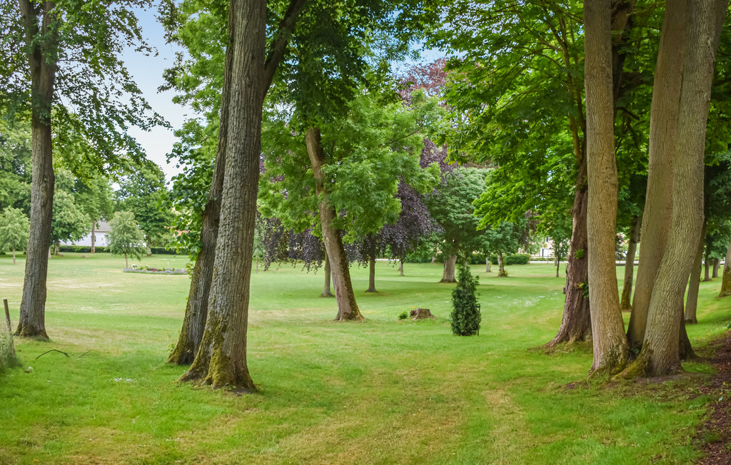 Ferienhaus - Tomelilla , Schweden - S11659 7