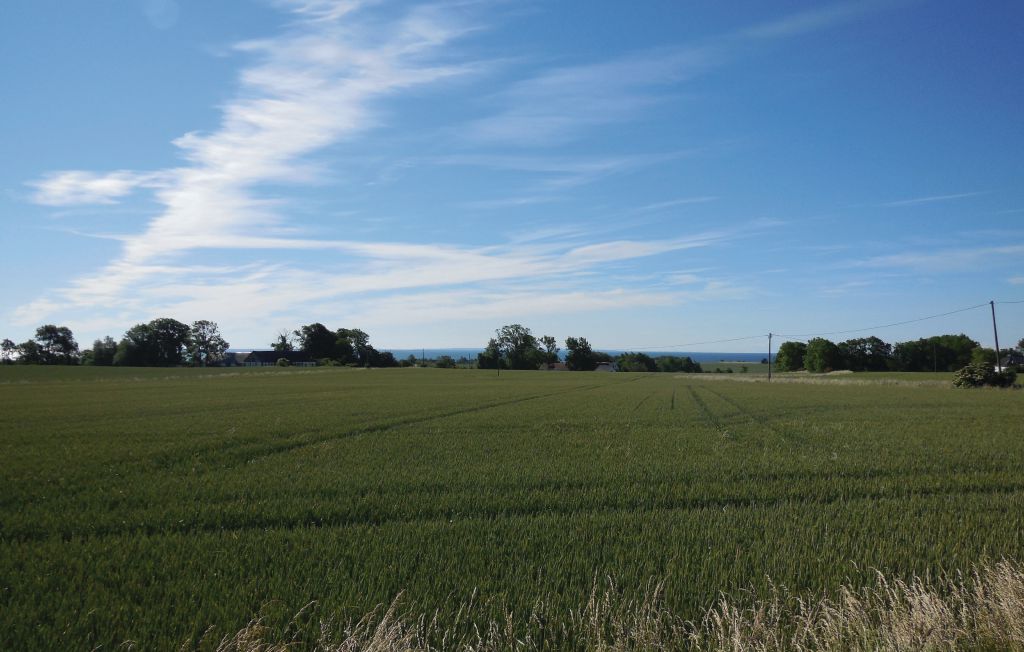 Ferienhaus - Simris , Schweden - S11002 6