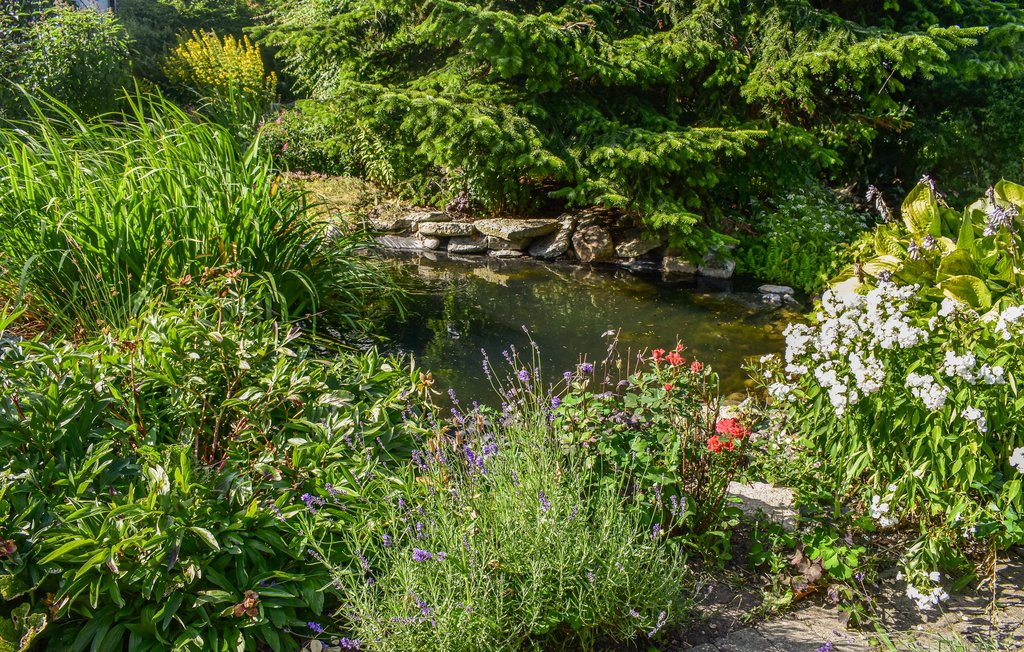 Feriehuse - Simrishamn/Tomelilla , Sverige - S11887 11