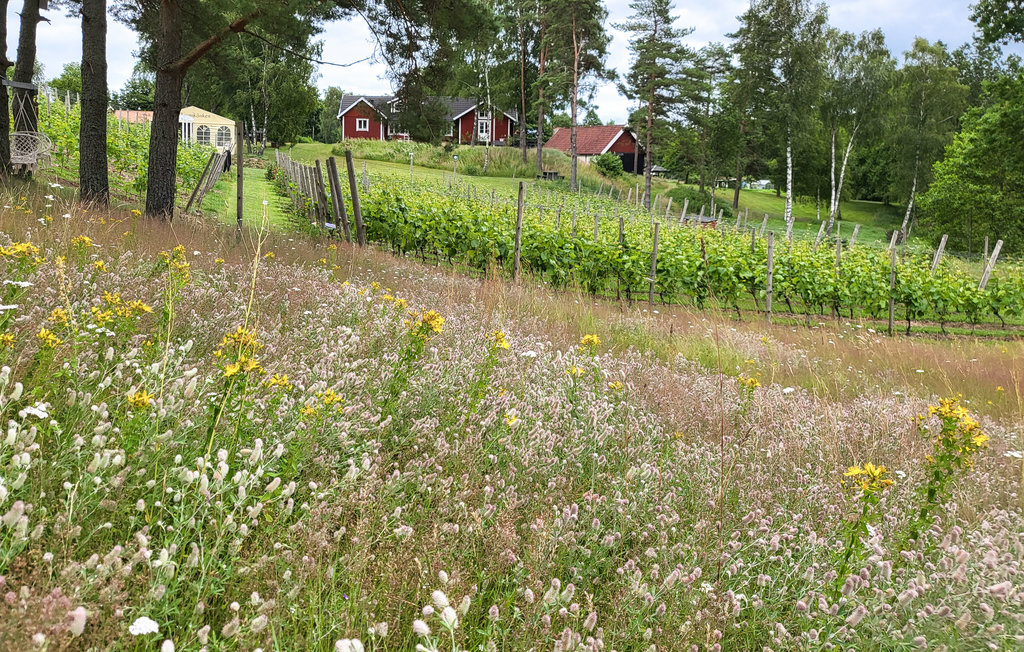 Feriehus - Vittsjö/Vingård , Sverige - S11940 13