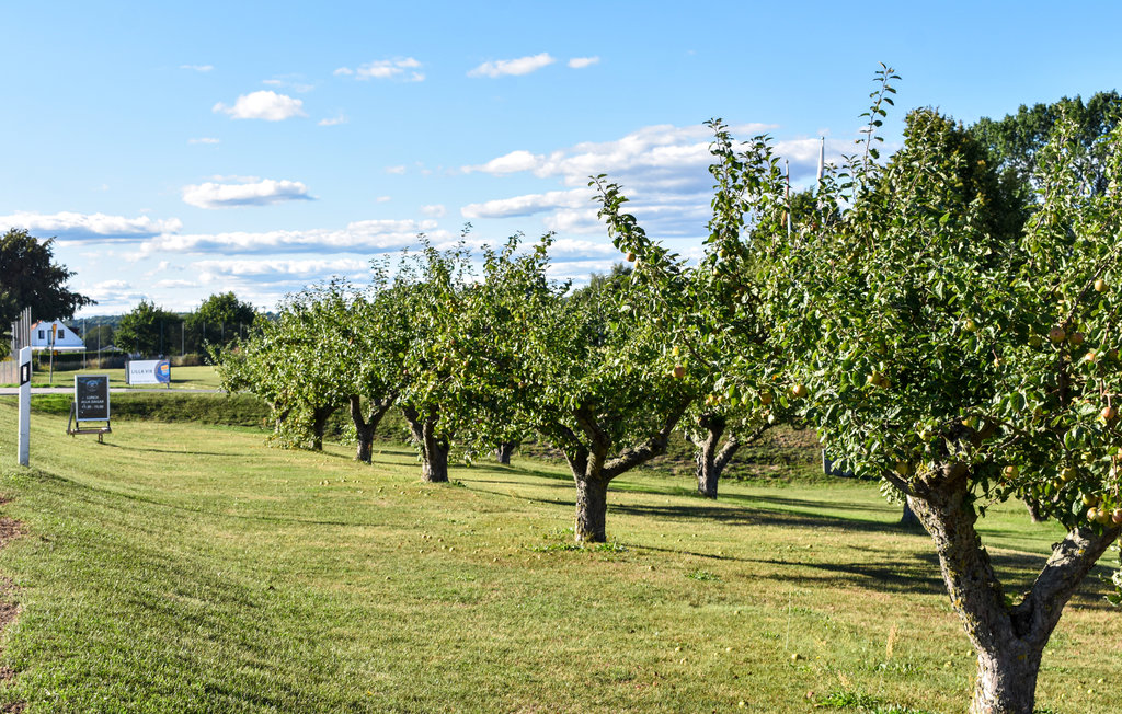 Ferienhaus - Simrishamn/Vik , Schweden - S11876 17