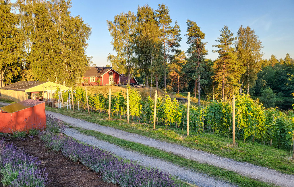 Feriehus - Vittsjö/Vingård , Sverige - S11940 17