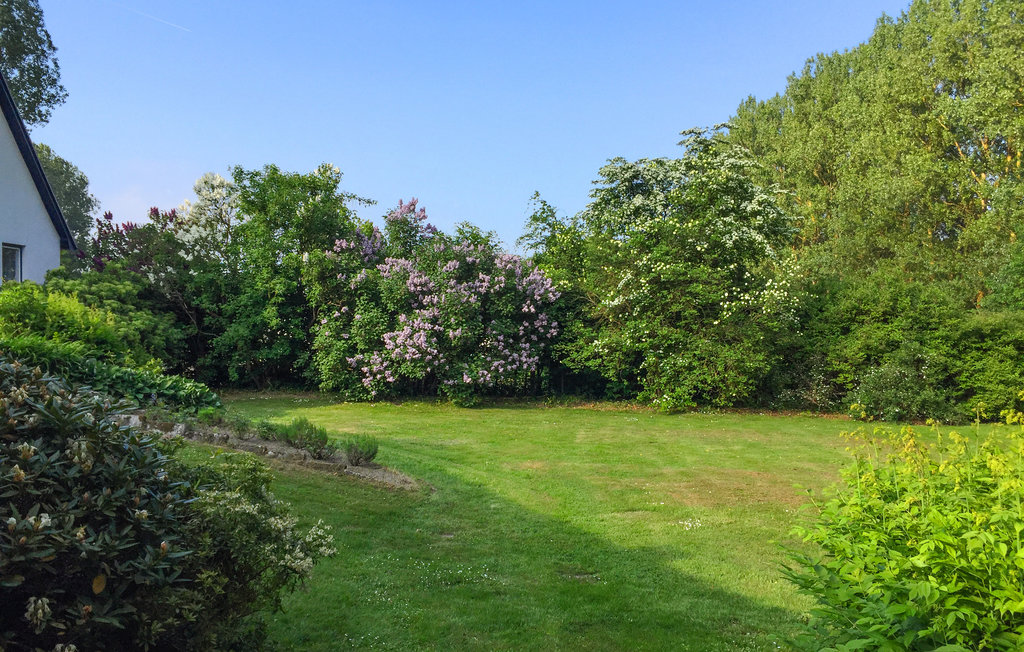 Semesterhus - Vitaby/Simrishamn , Sverige - S11974 8