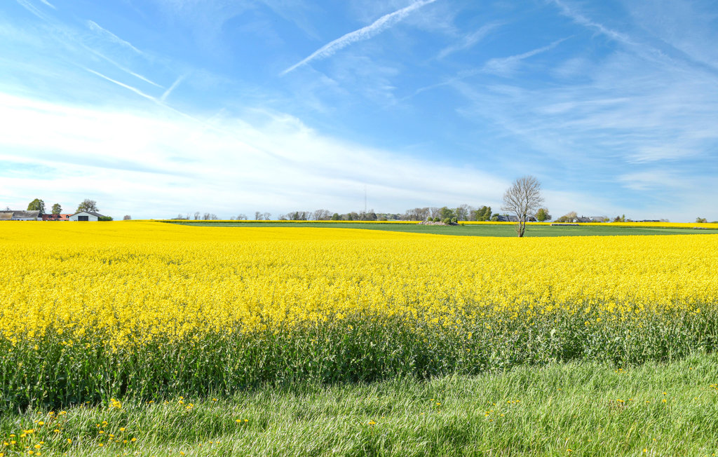 Ferienhaus - Simrishamn/Skillinge , Schweden - S11735 16