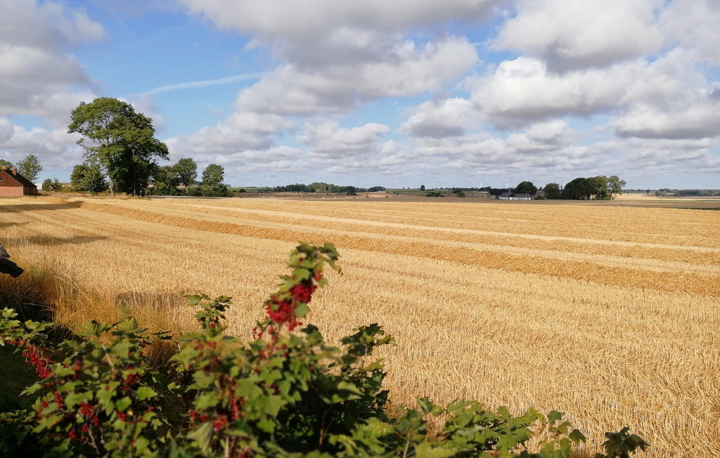 Ferienhaus - Simrishamn/Gislöv , Schweden - S11981 14