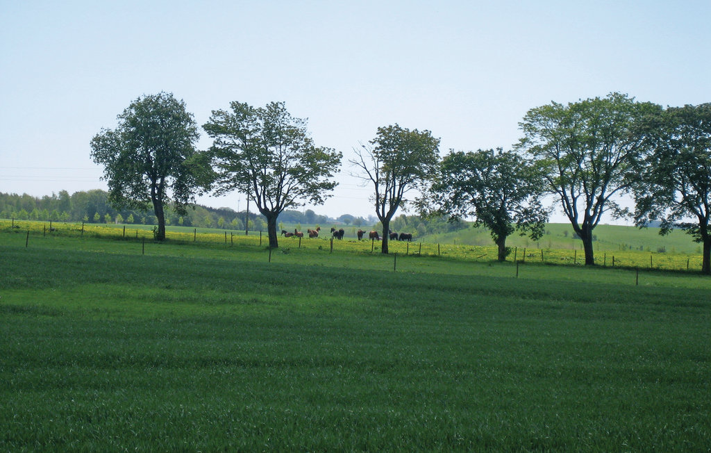 Feriehuse - Tomelilla , Sverige - S11072 18