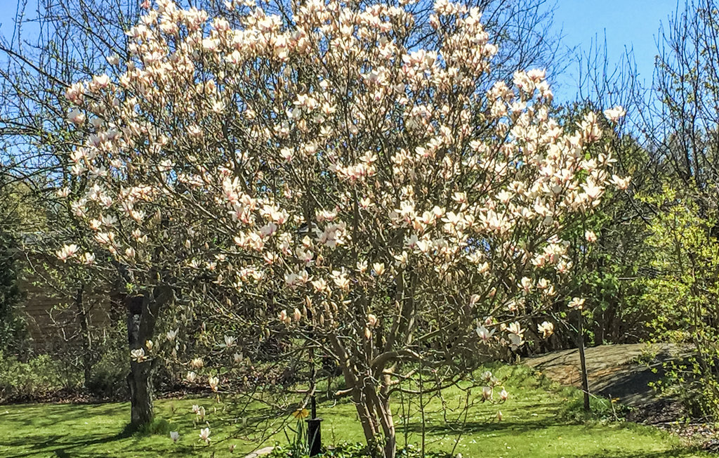 Ferienwohnung - Beddingestrand , Schweden - S11822 14