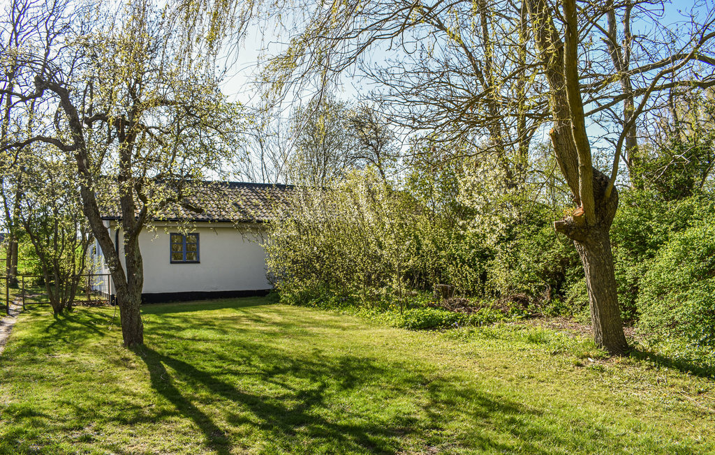 Ferienhaus - Skivarp/Beddinge , Schweden - S11857 11