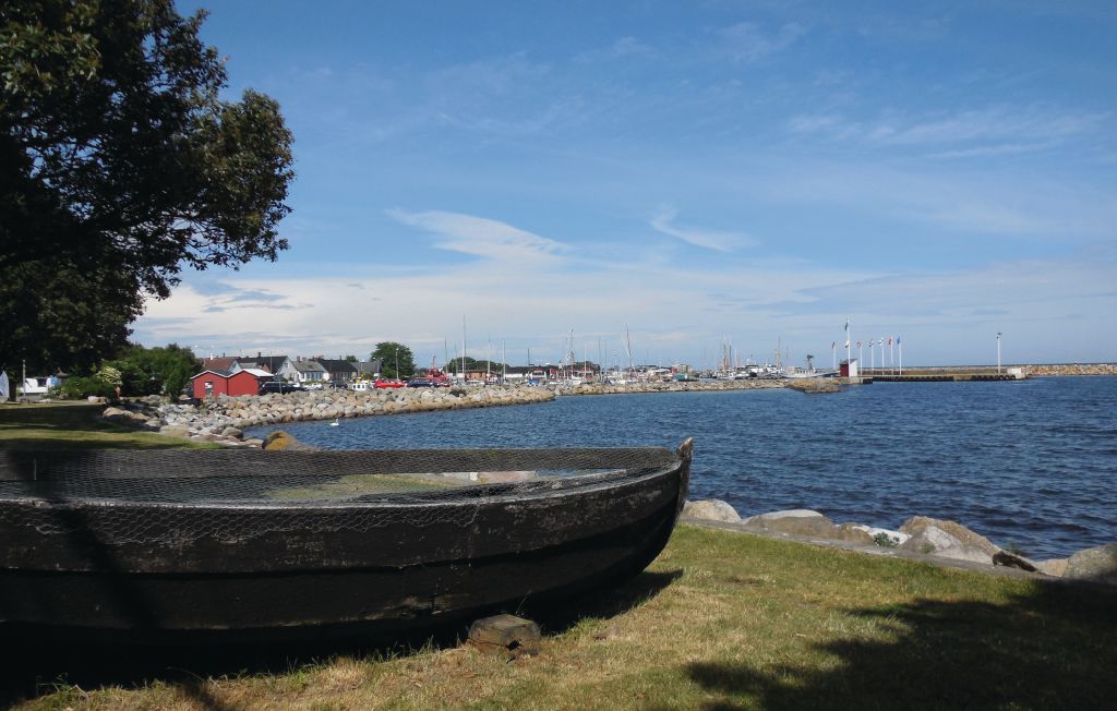 Ferienhaus - Skillinge , Schweden - S11006 7