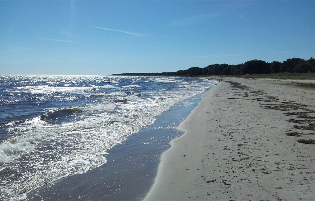 Ferienhaus - Skillinge/Österlen , Schweden - S11874 14