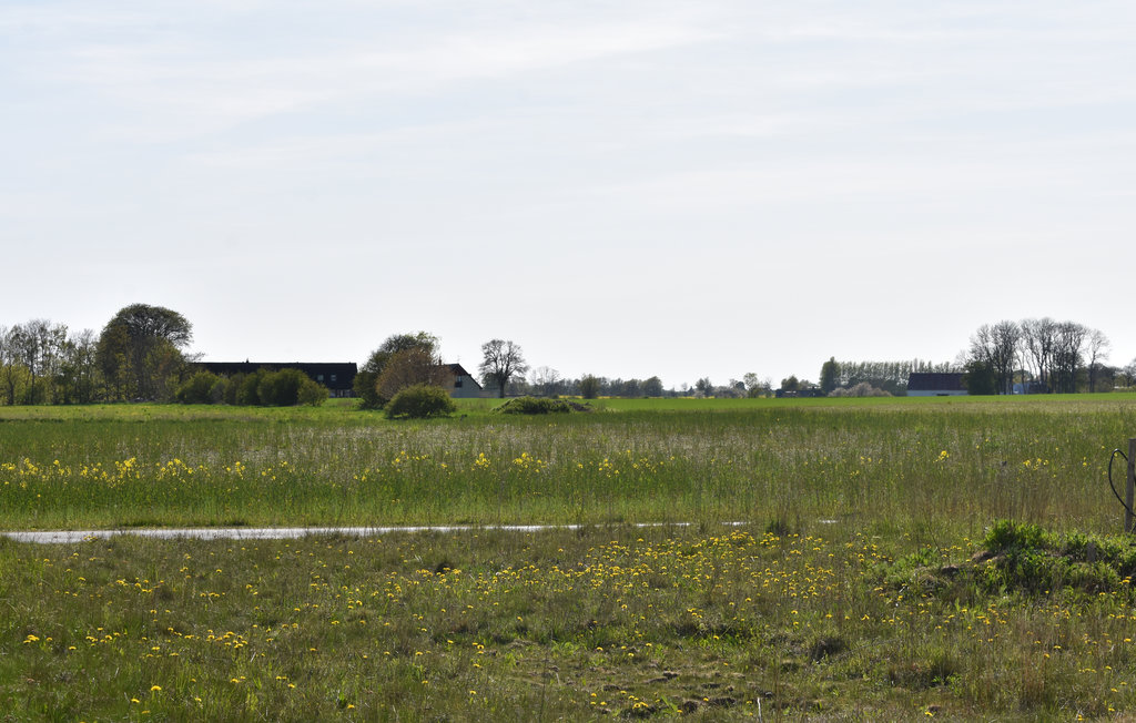 Ferienhaus - Skillinge/Österlen , Schweden - S11874 16