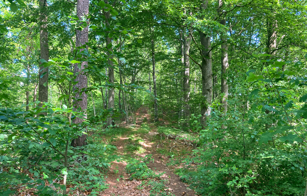 Semesterhus - Munka Ljungby/Ängelholm , Sverige - S11936 22