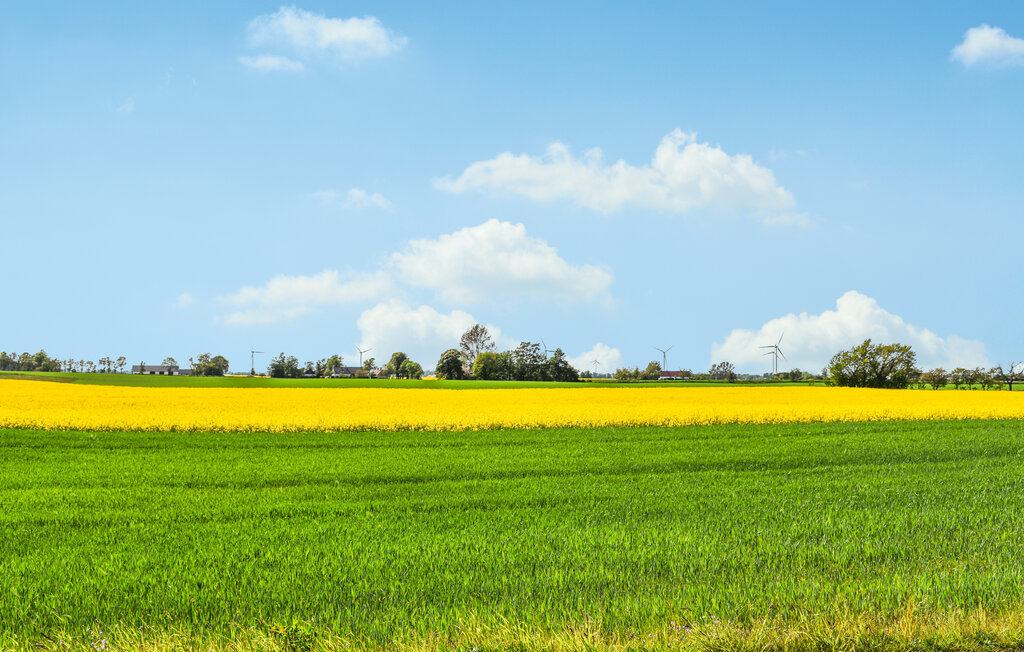 Semesterhus - Skåne Tranås/Österlen , Sverige - S11976 12