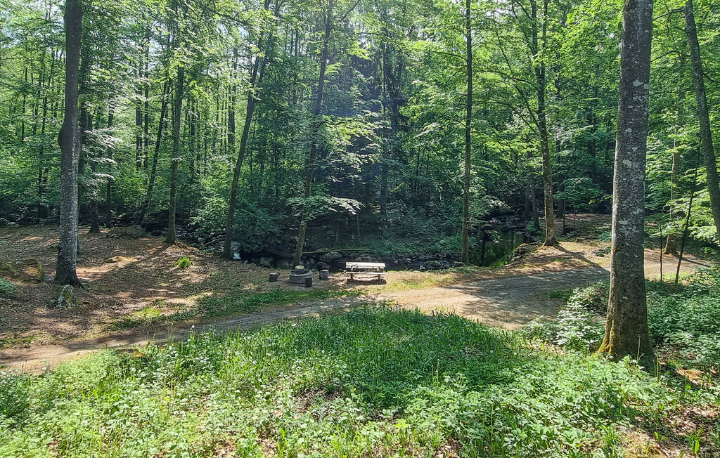 Semesterhus - Hässleholm/Vinslöv , Sverige - S11579 9